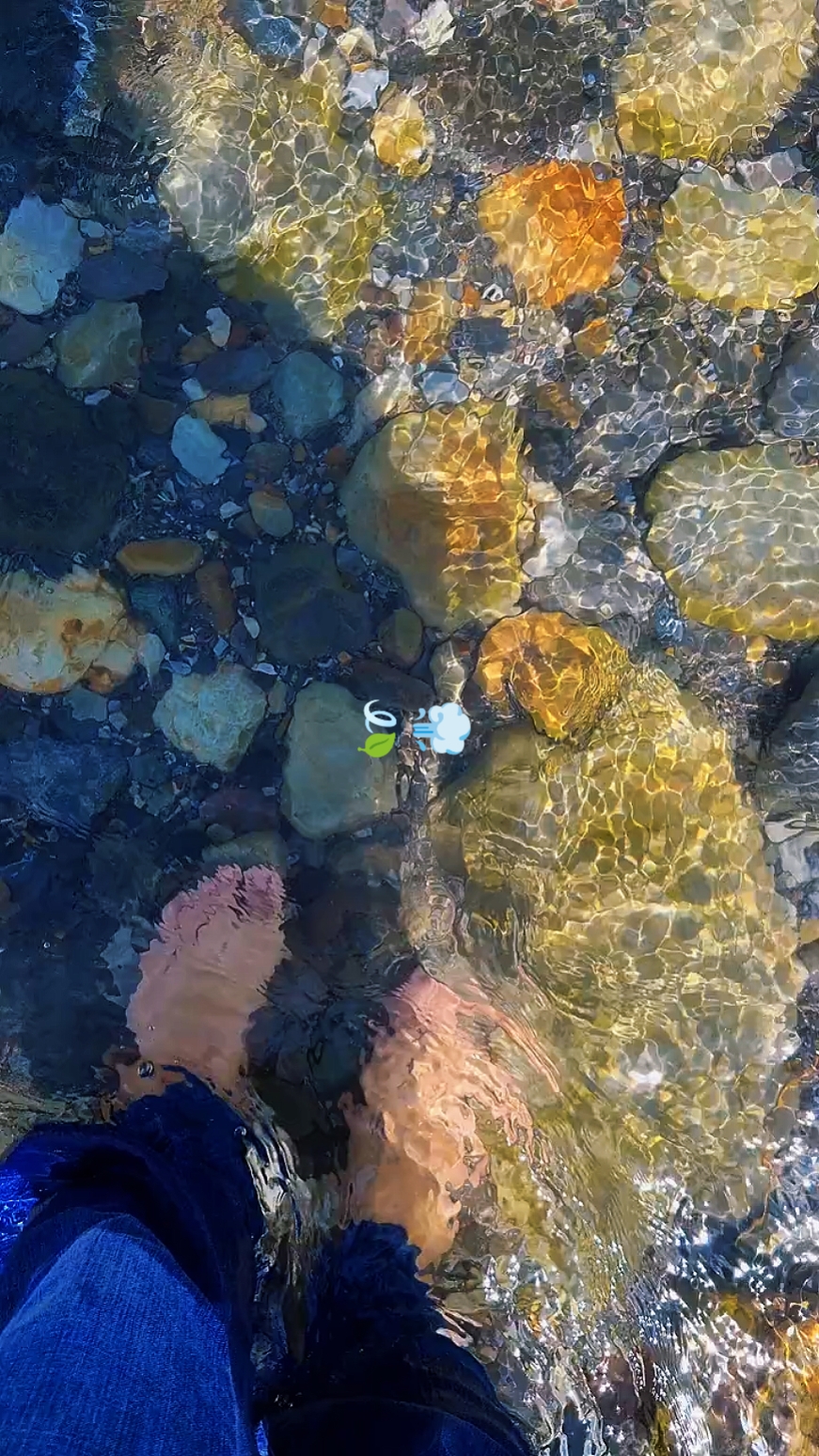 Nature Therapy