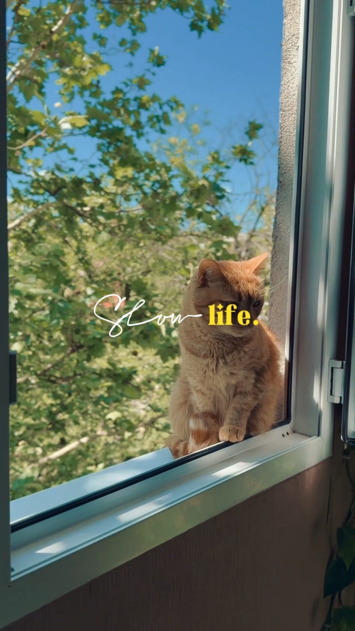 slow life