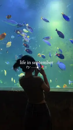 september dump 2025