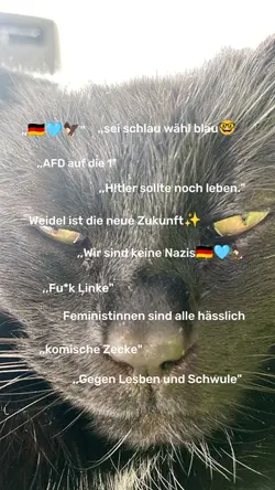 F!ck Nazis