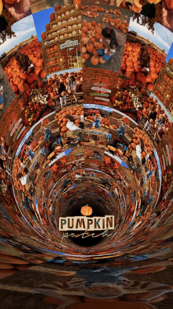 Volcado de parches de calabaza 🎃