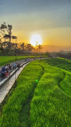 1 VID HD JERNIH