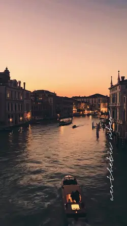 Aesthetic Vibes❤️