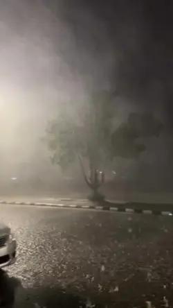 rain 