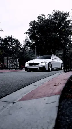 Free Trend Edit Bmw