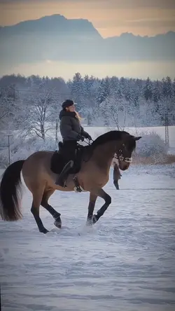 eq slowmo, not me