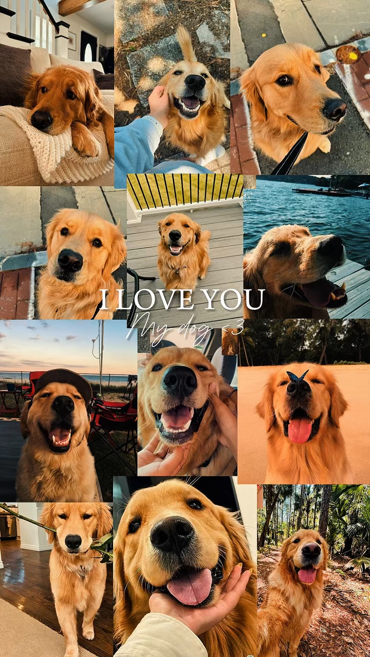 Köpeğim
