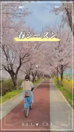 春シーズン