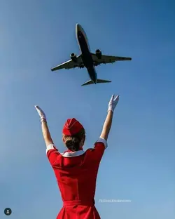 flight attendant