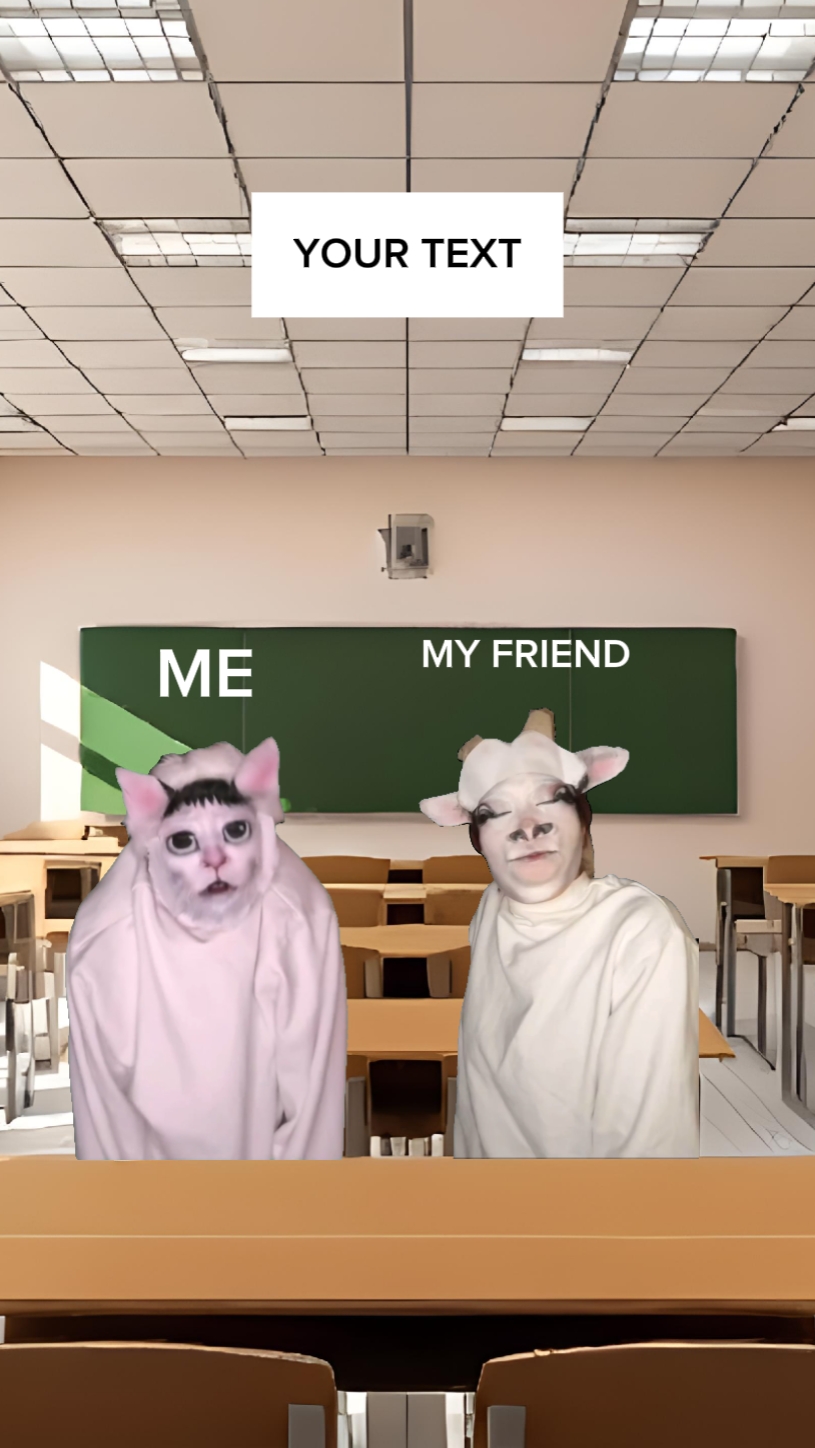 고양이 밈