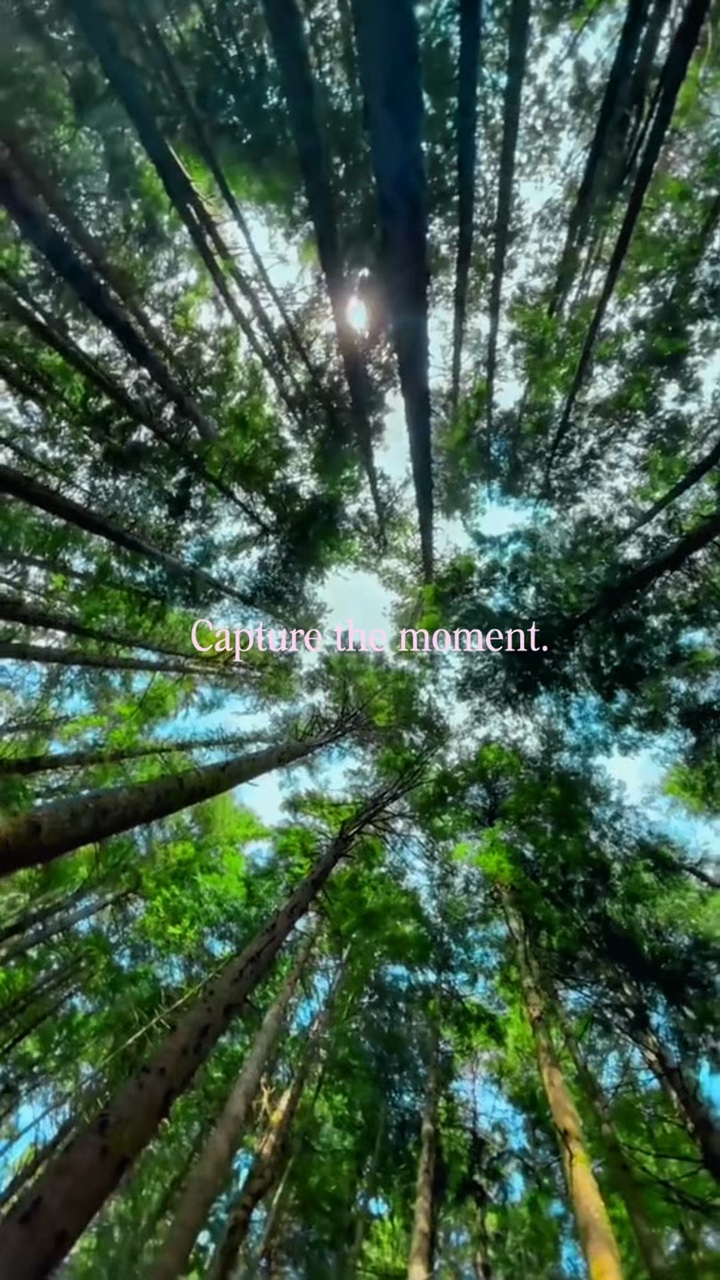 Cinematic in Nature