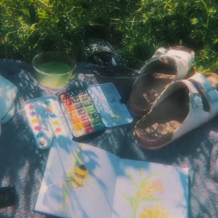 dreamy vlog