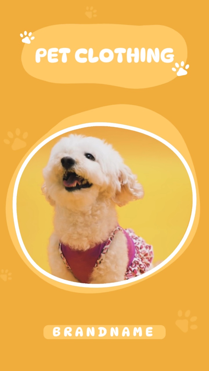 Pet Clothing Promotion TikTok Style