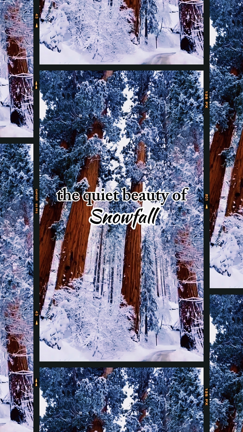 Belleza de las nevadas