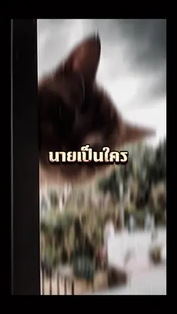 #นายเป็นใคร