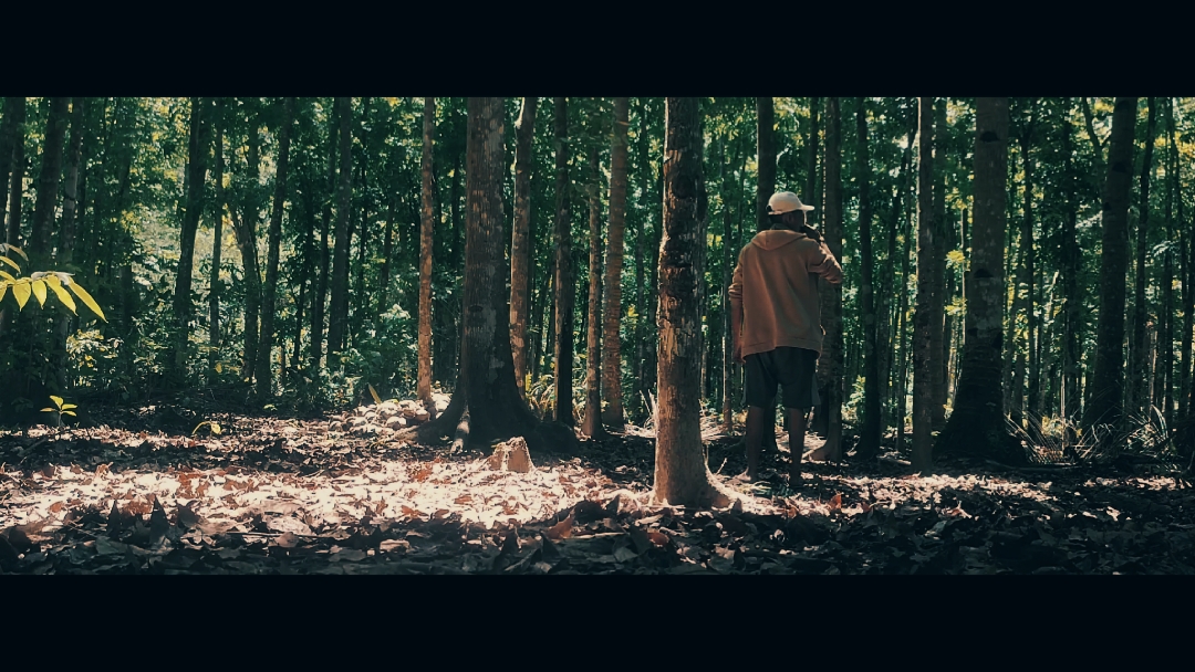 Kino-Trailer 