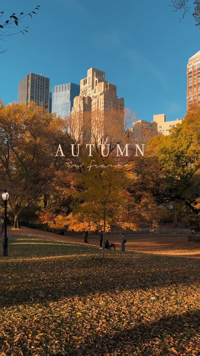 Autumn travel edit