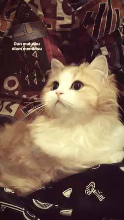 salahkah bila diriku