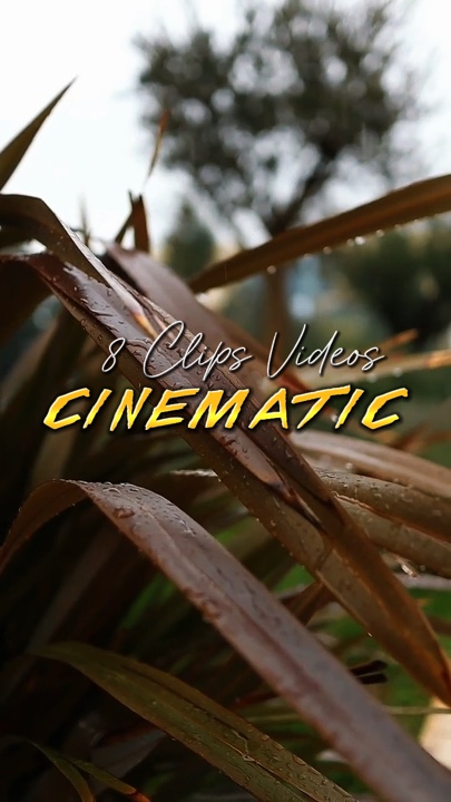 CINEMATIC 8VIDEOS