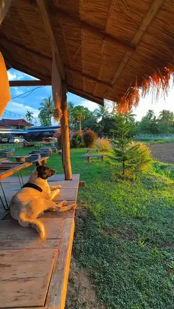 Probinsya