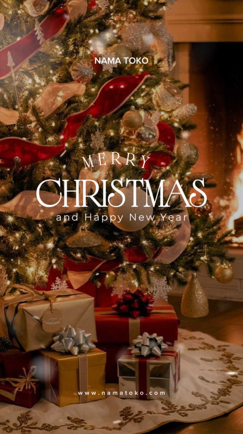 FELIZ NAVIDAD