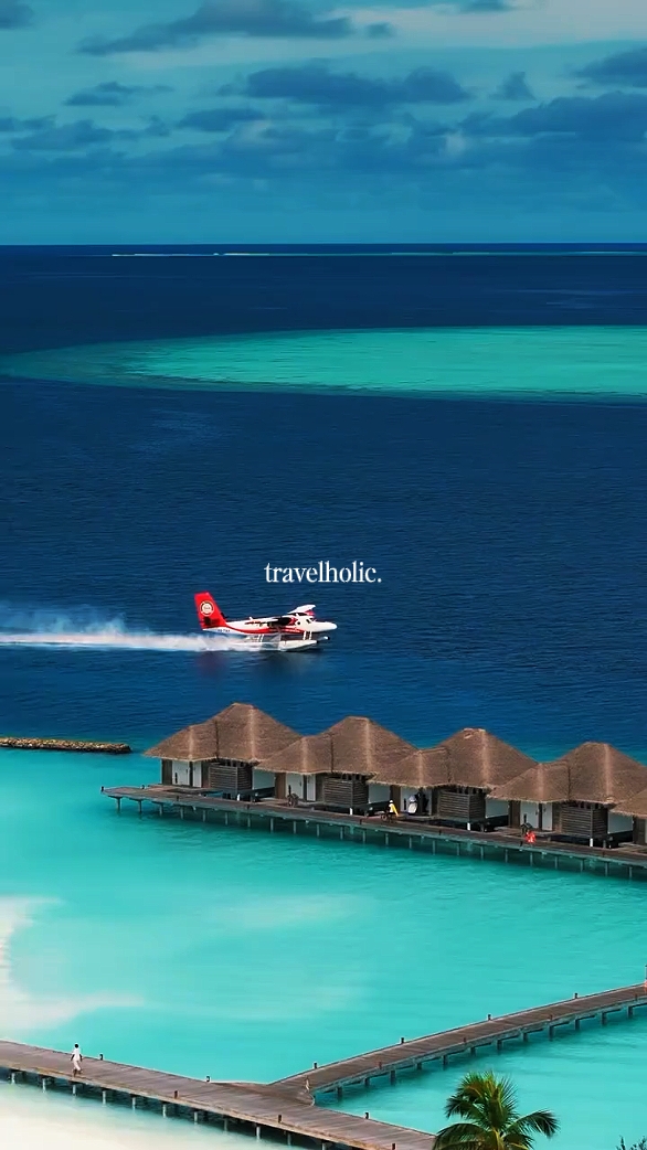 travelholic.