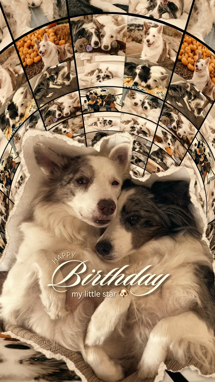 Hund Geburtstag ❤️🐶🐾