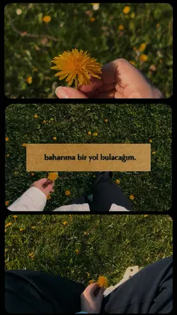 | Baharıma yol…