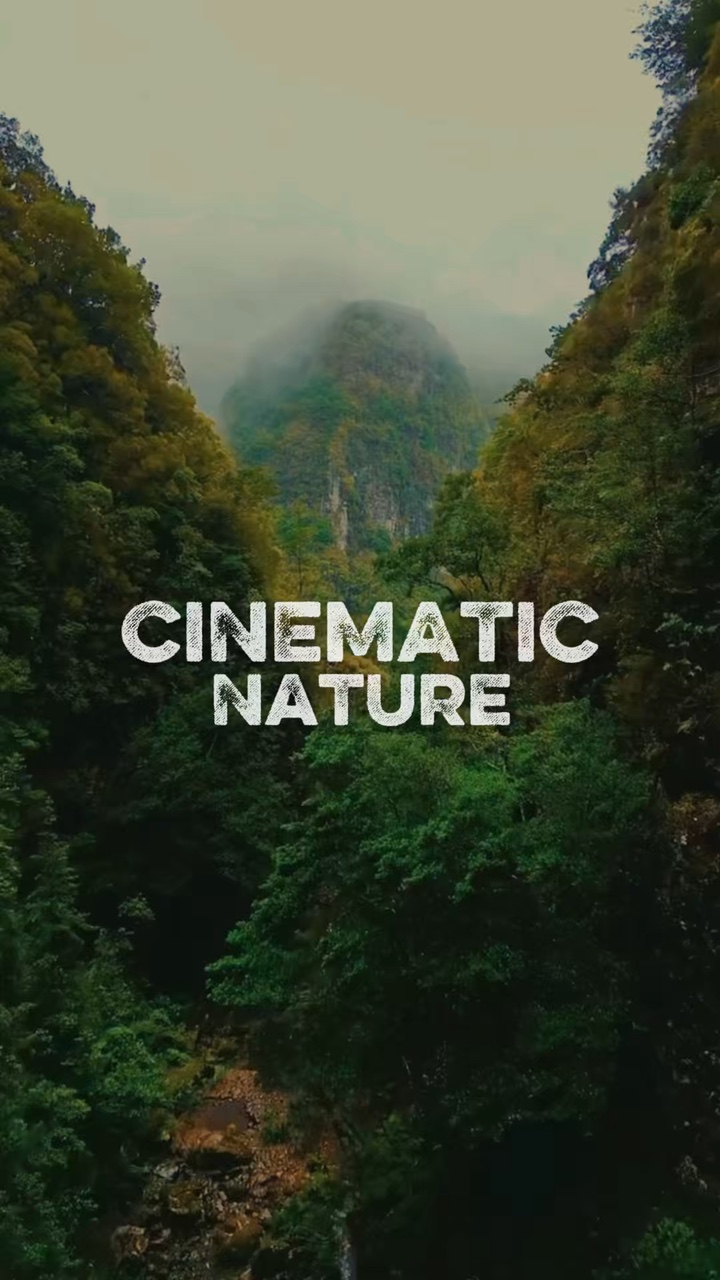Nature Cinématique
