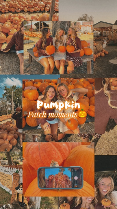 Pumpkin Patch