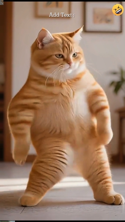 Süße Katze. 
