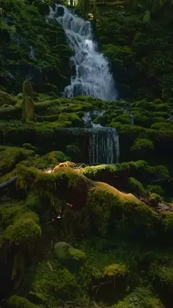 8 videos cinematic