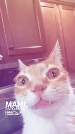 Viral