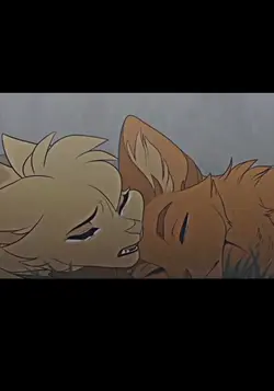 ....