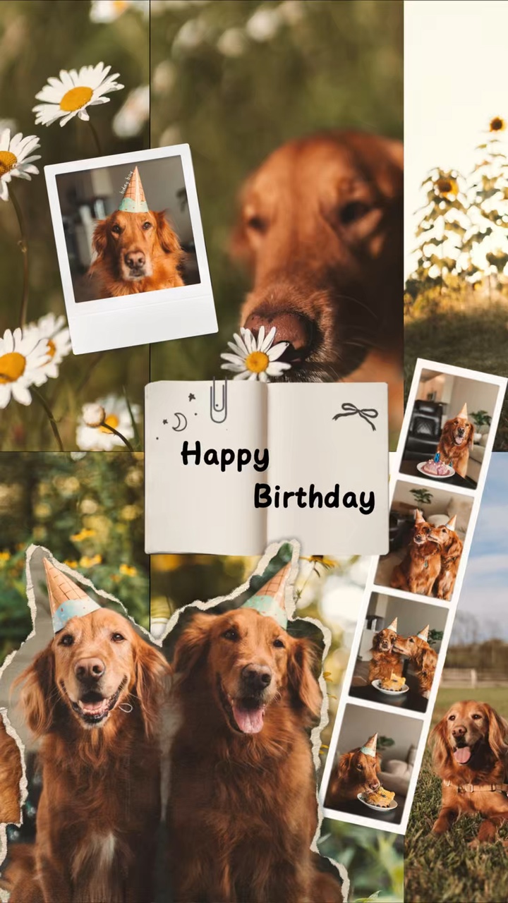 Birthday my dog