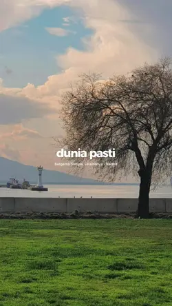 BERGEMA SAMPAI
