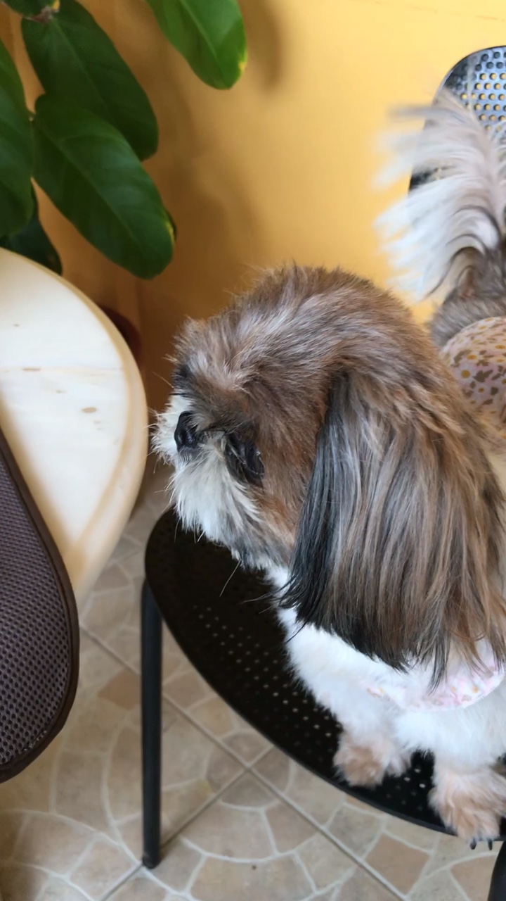 Saudades do nosso bebê!!