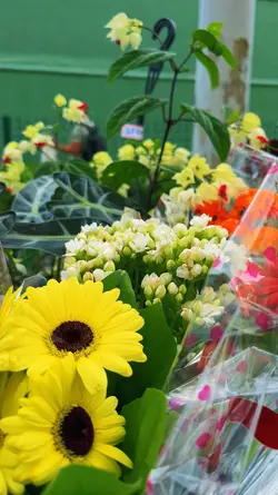 Feira de flores