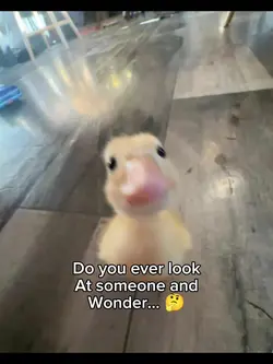 WHAAAQAAAAT???