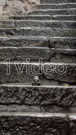 1video+màu