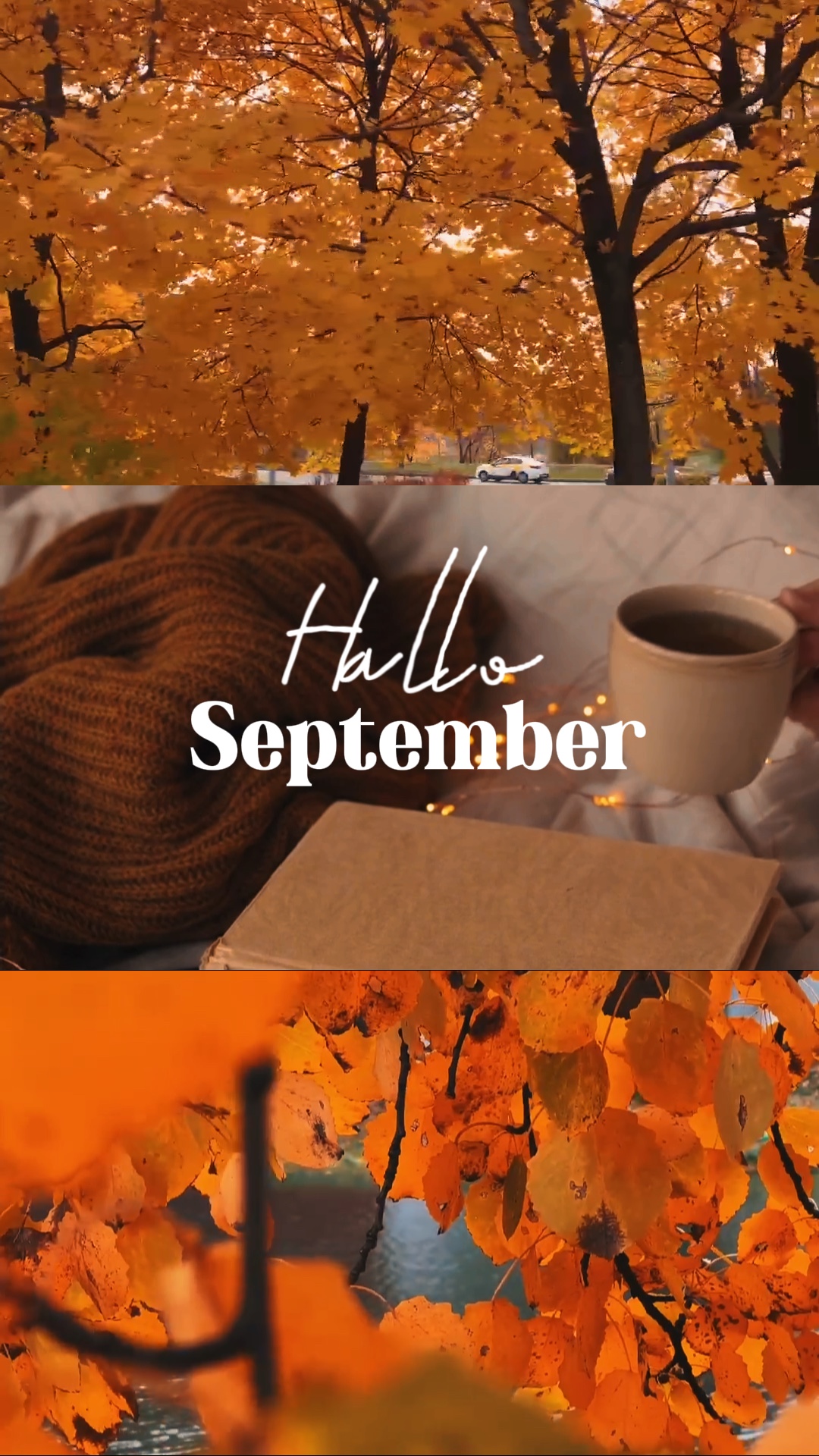 Hallo September