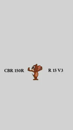 CBR x R 15