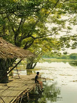 himawari no yakusoku
