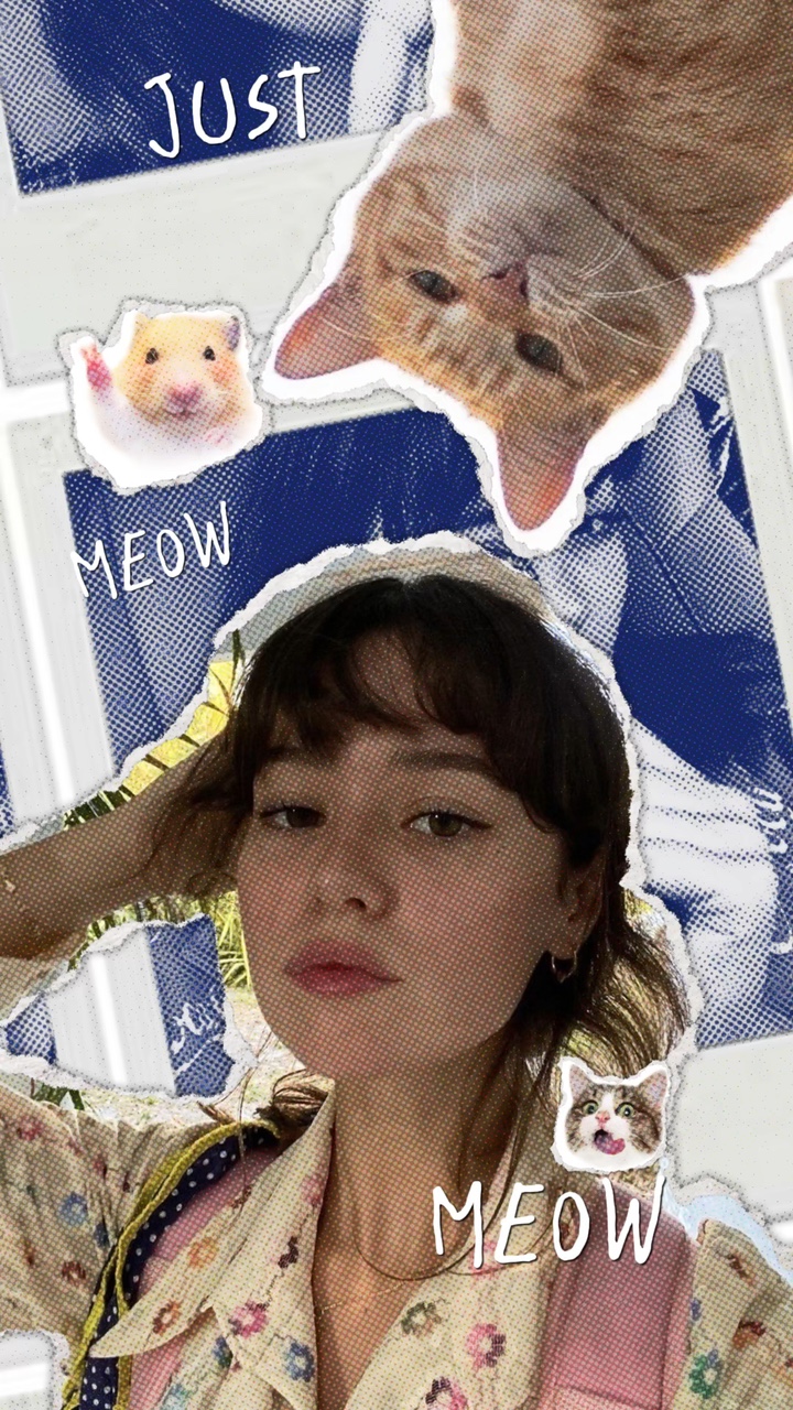 I wish i was a cat