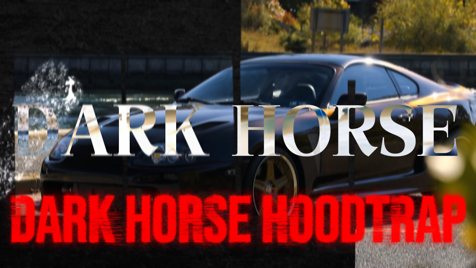 Piège à capuche DARK HORSE