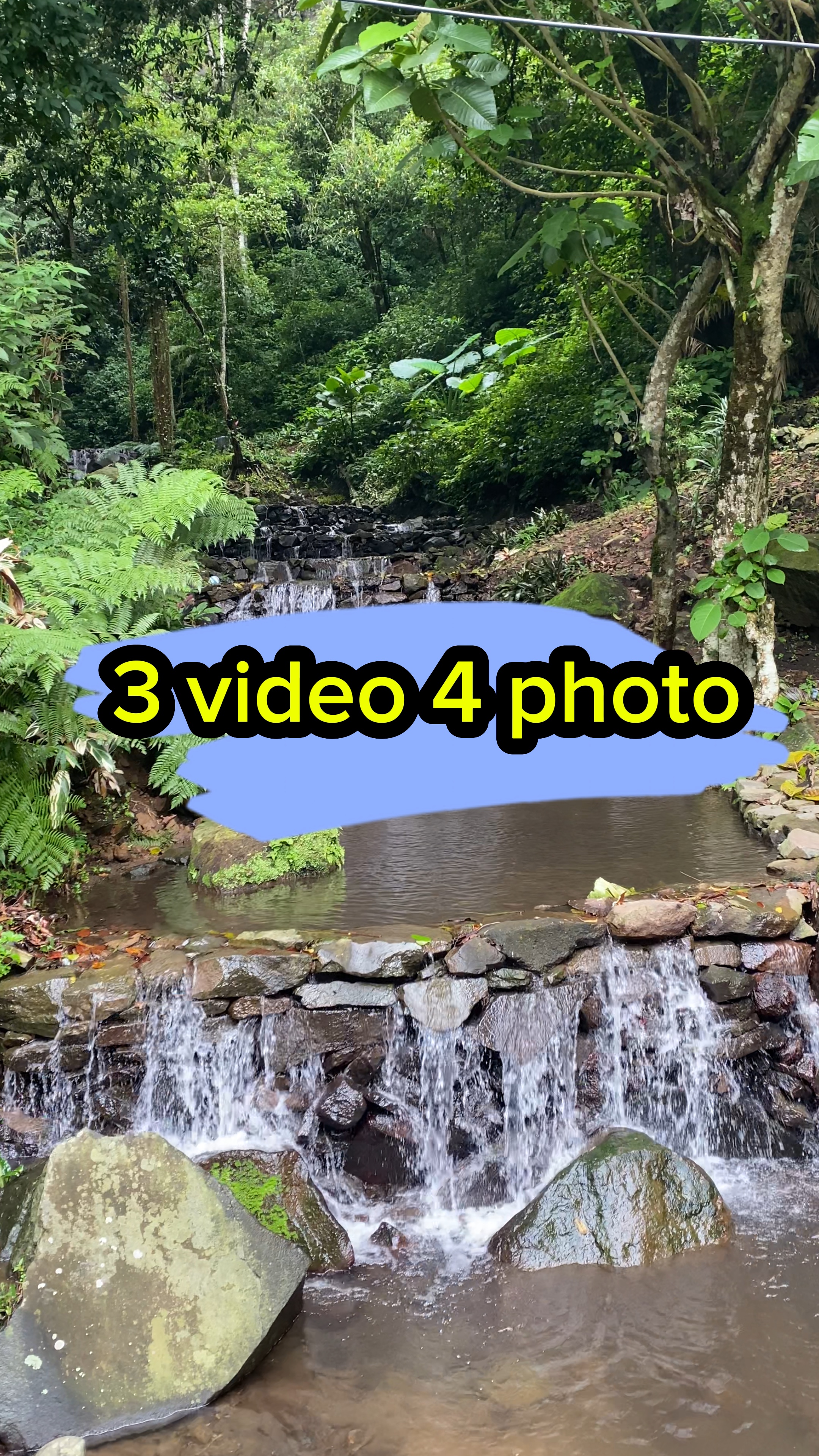 3 video 4 Foto