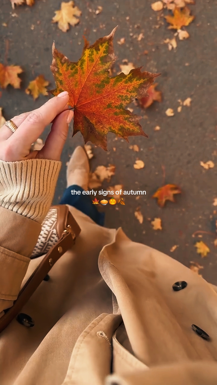 autumn season 