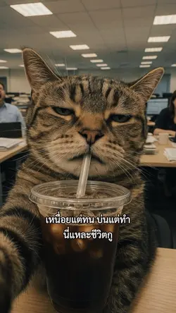 เหนื่อยแต่ทน บ่นแต่ทำ