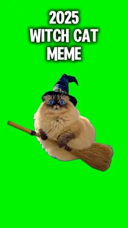 Flying Witchy Cat