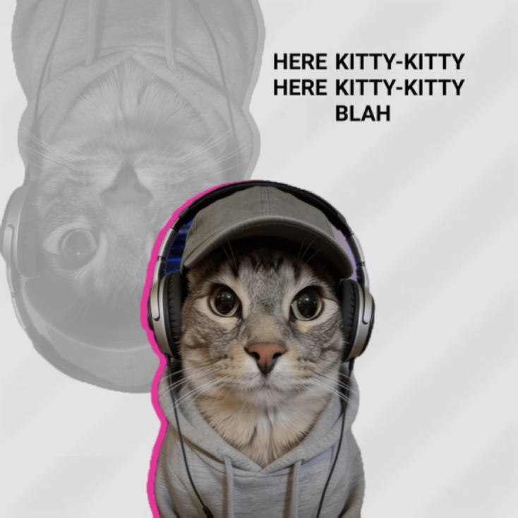 HERE KITTY KITTY BLA